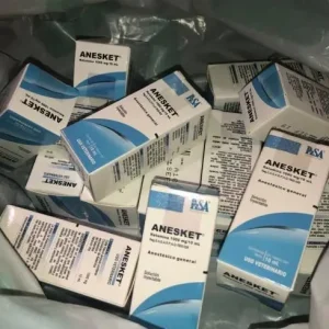 Order Anesket 1000mg/10ml